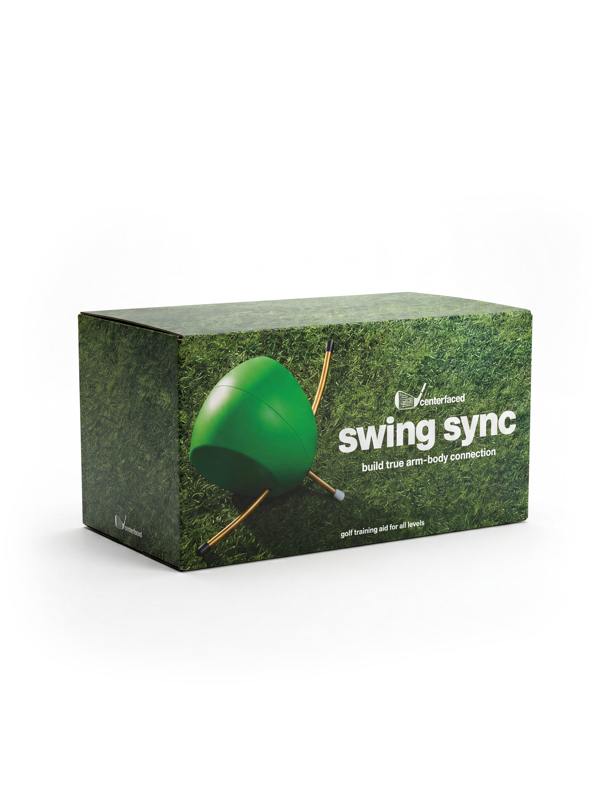 Swing Sync Professional Trainer — view 2