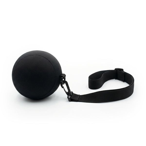 Swing Sync Ball