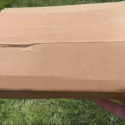 Swing Plane Plate
