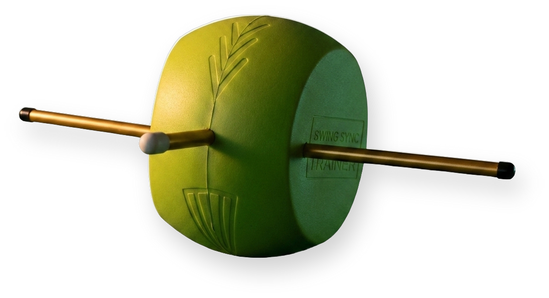 Swing Sync Professional Trainer